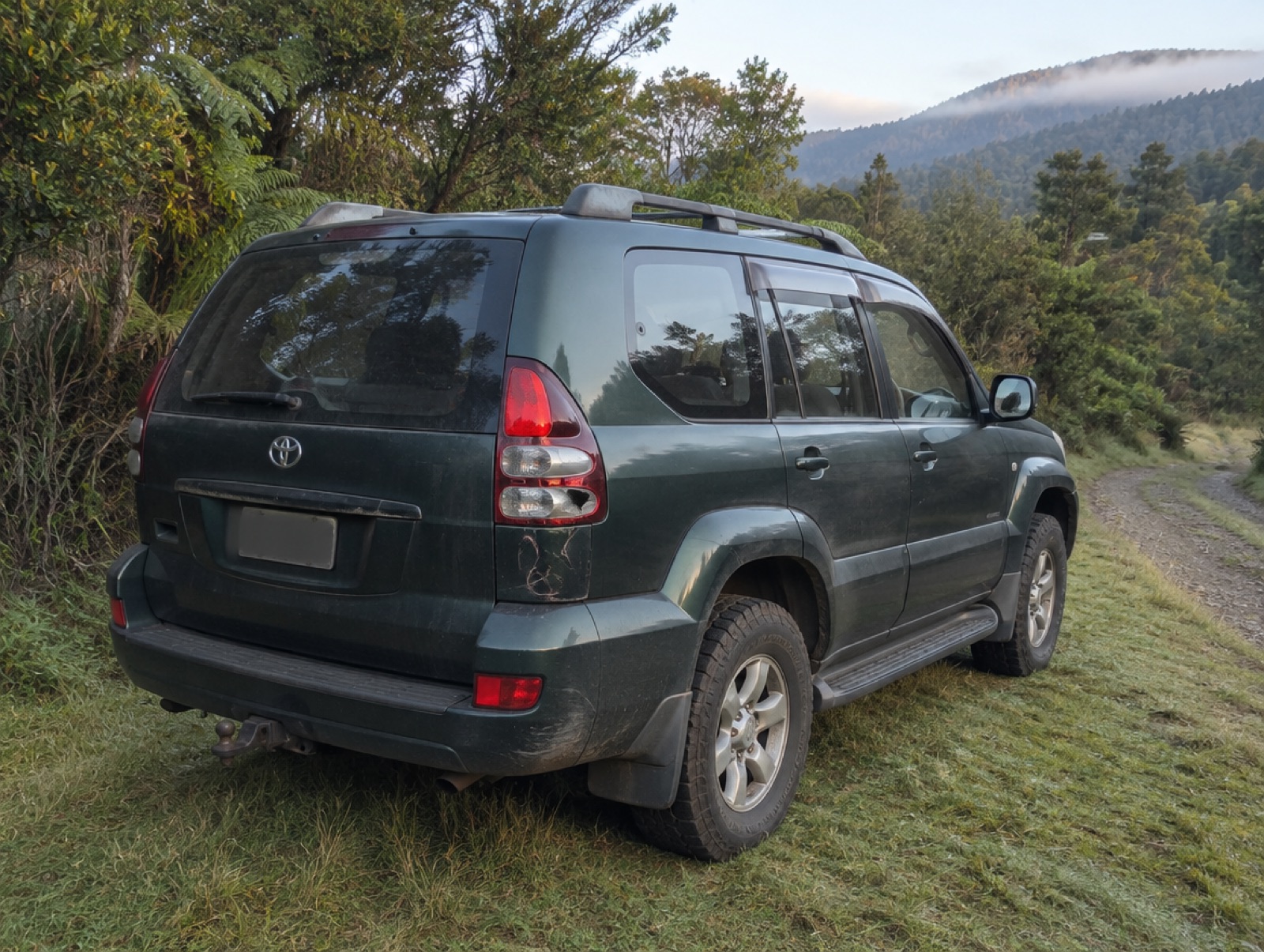 A dark green 4WD with faded roof rails parked beside a bush track